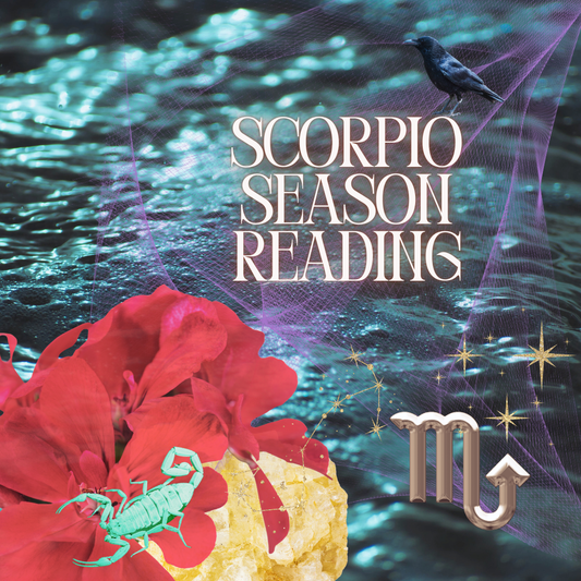 Scorpio Season Reading